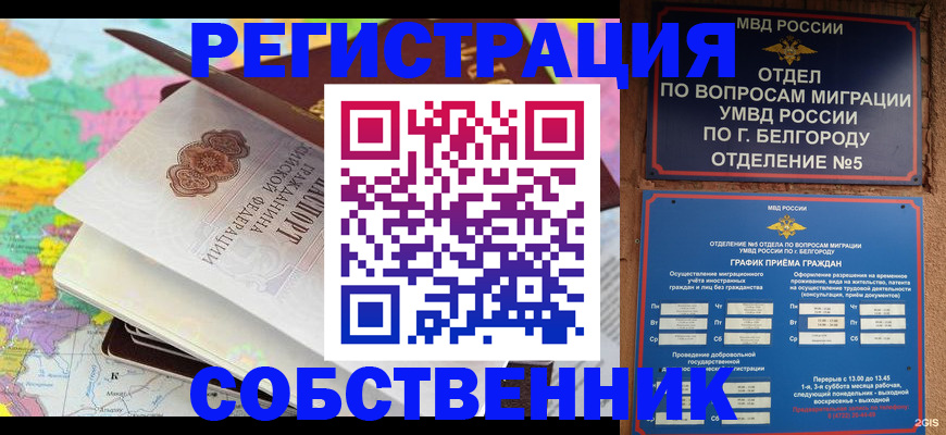 временная регистрация гарантия в Бавлах